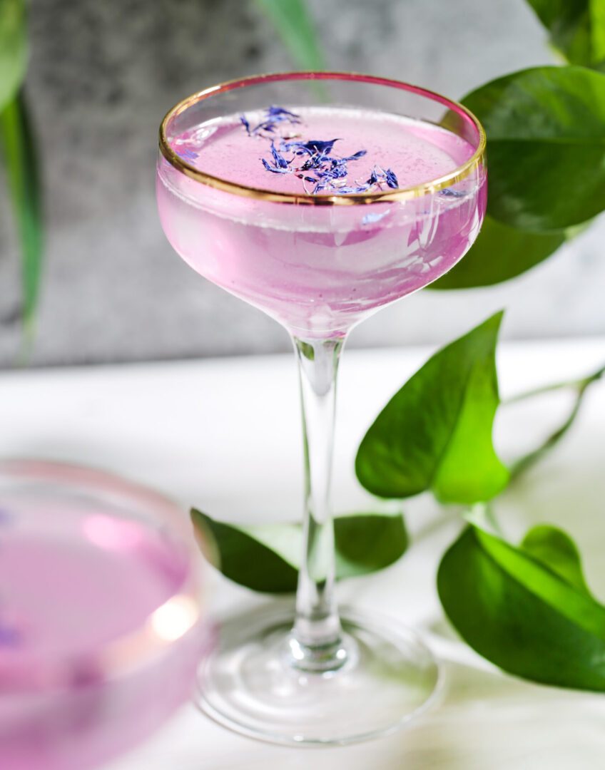 Recette cocktail à base de Gin aux petits fruits du Québec