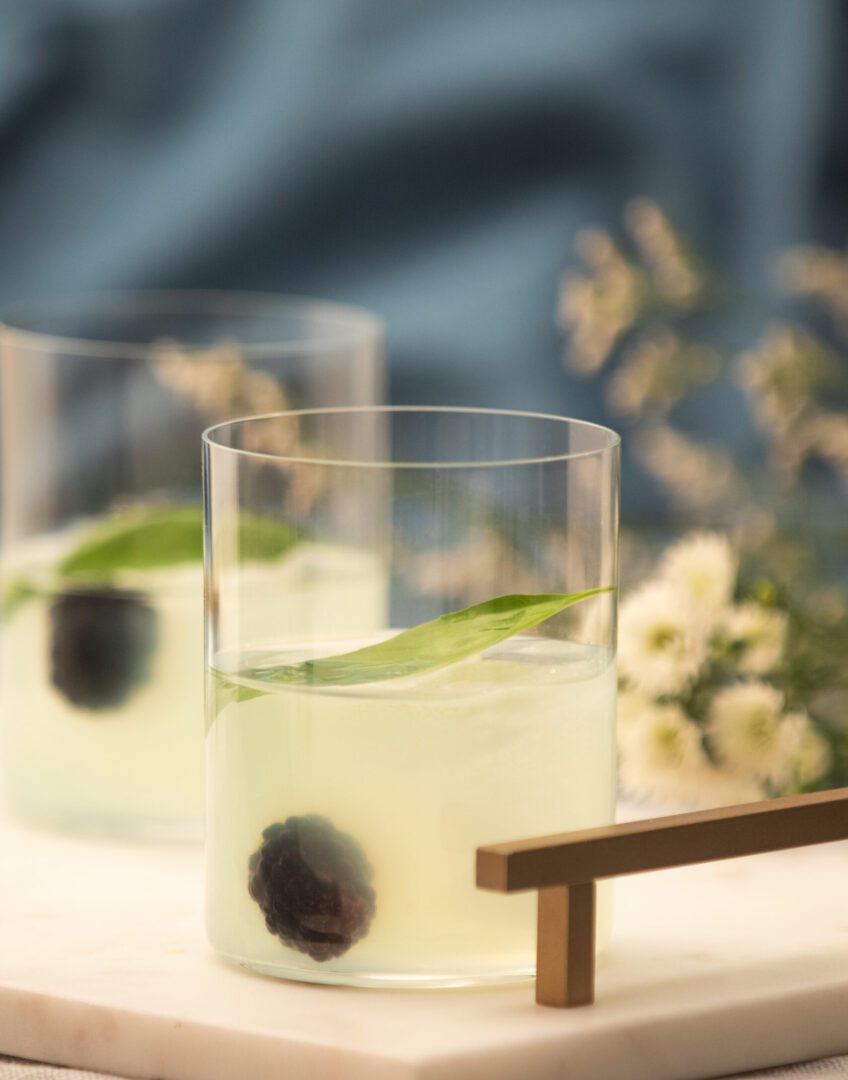 Recette cocktail fait avec Gin aux bleuets et mûres sauvages Noroi