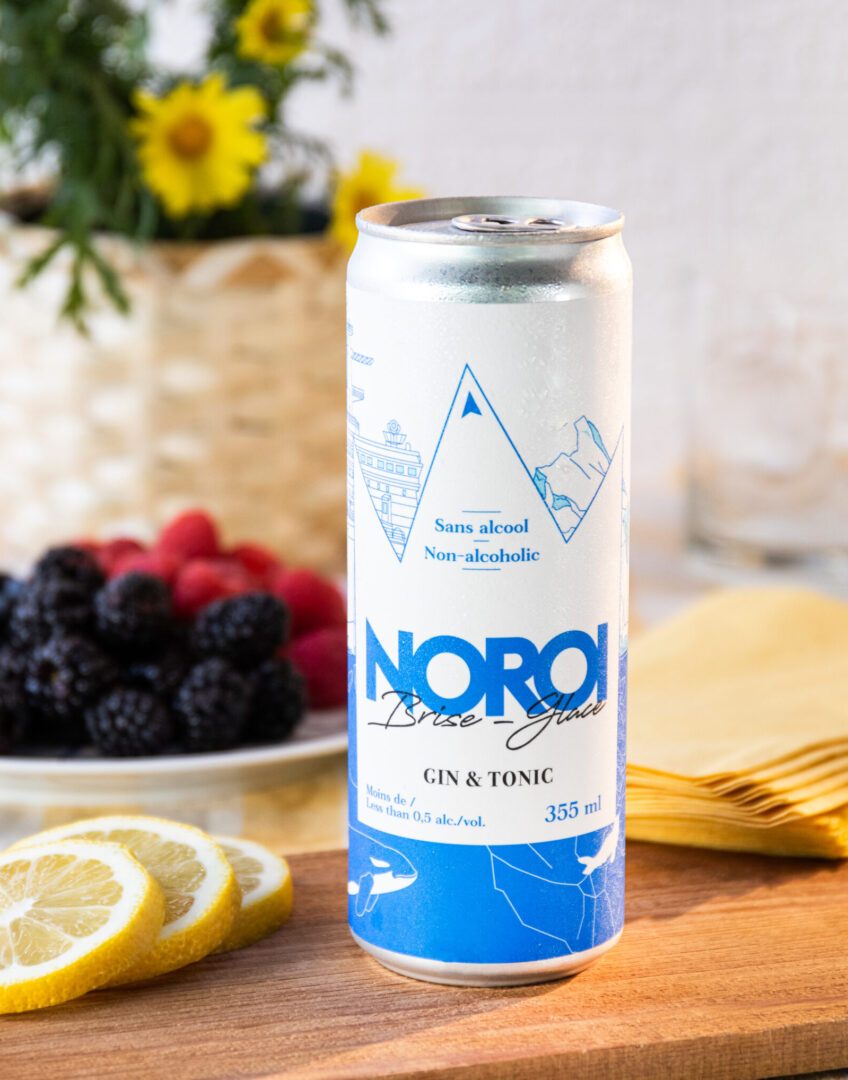 Brise-glace: prêt à boire sans alcool au gin-tonic Brise-glace: non-alcoholic gin-tonic ready to drink